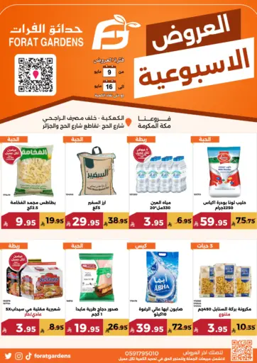 العروض الاسبوعية