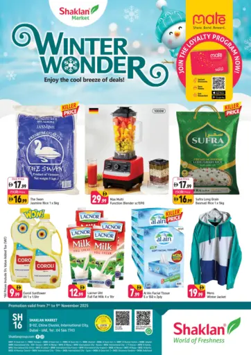 B-02,China Cluster,IC-Dubai