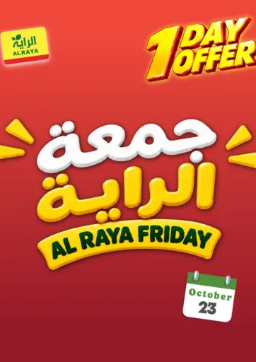 1 Day Offer