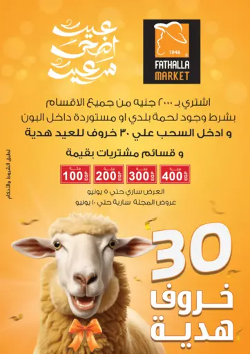 Fathalla Market - Special Offer in Egypt Offers - Egypt Special Offer
