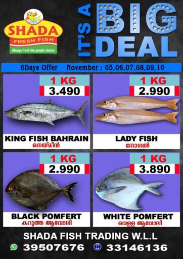 Bahrain Shada Fish offers in D4D Online. Its a Big Deal. . Till 10th November
