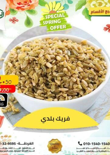 Egypt - Cairo Al Habib Market offers in D4D Online. Special Offer. . Until Stock Last