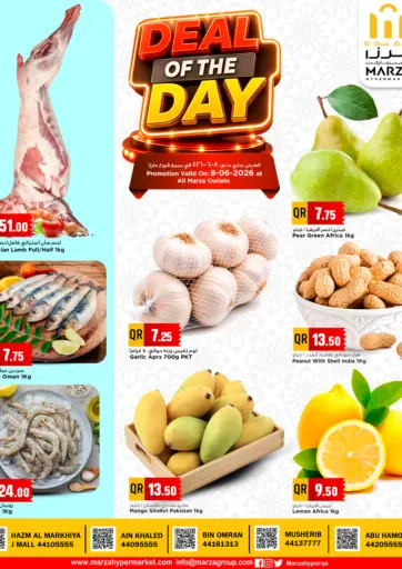 Deal Of The Day