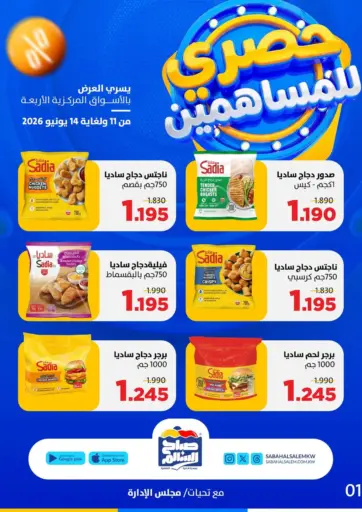 حصري للمساهمين