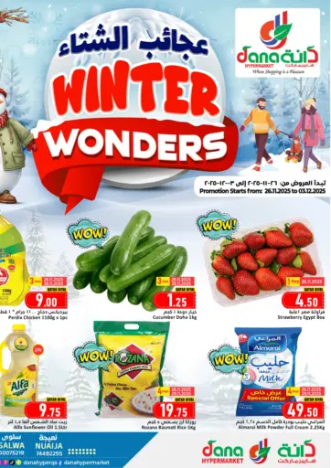 Winter Wonders