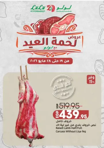 Special Offer