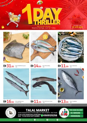 Shabiya ME-12- Abu Dhabi