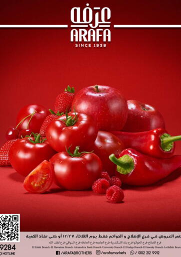 Egypt - Cairo Arafa Market offers in D4D Online. Fresh Deals. . Only on 27th December