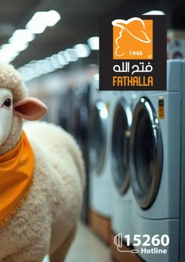 Fathalla Market - Special Offer in Egypt Offers - Egypt Special Offer