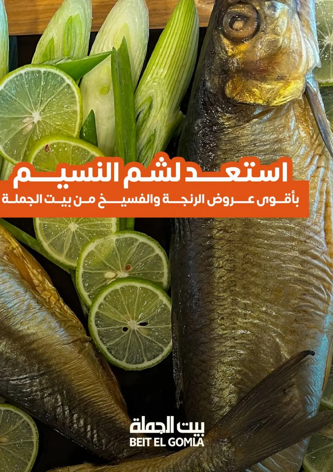 عروض بيت الجملة Egypt - القاهرة في دي٤دي أونلاين. استعد لشم النسيم. . Till 22nd April