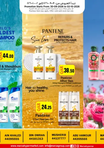 Special Offer
