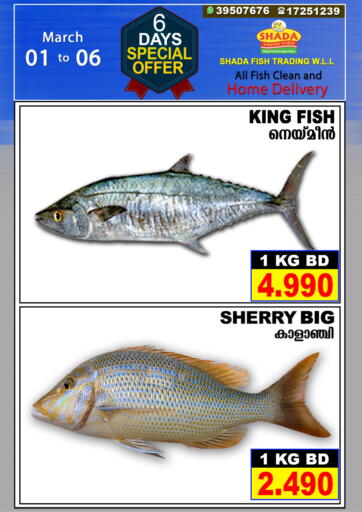 Bahrain Shada Fish offers in D4D Online. 6 Days Special Offer. . Till 6th March