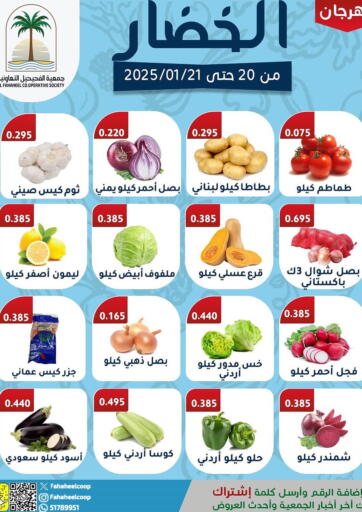 Kuwait - Kuwait City Al Fahaheel Co - Op Society offers in D4D Online. Special offer. . Till 21st January