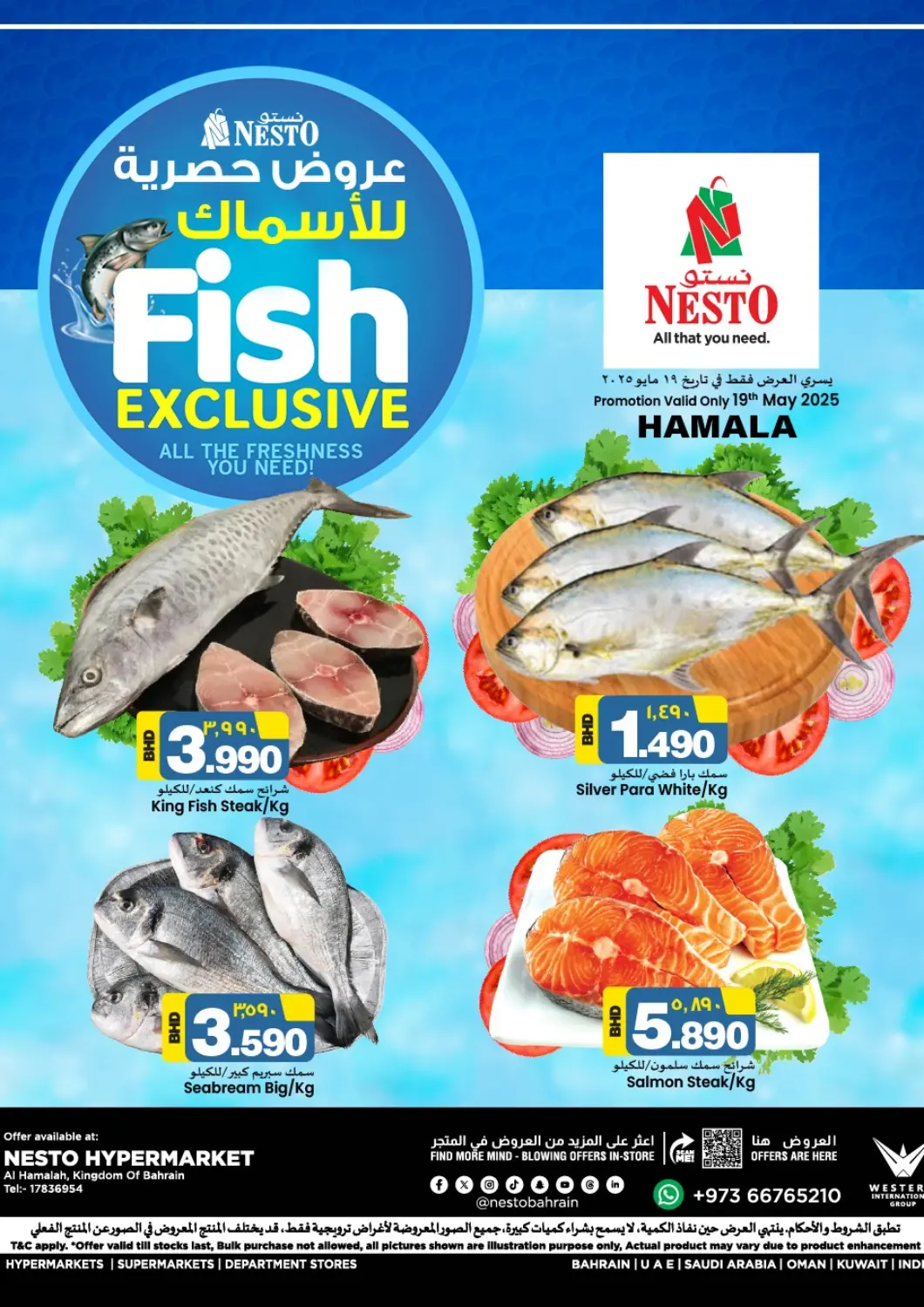 Bahrain NESTO  offers in D4D Online. Fish Exclusive. . Only On 19th May