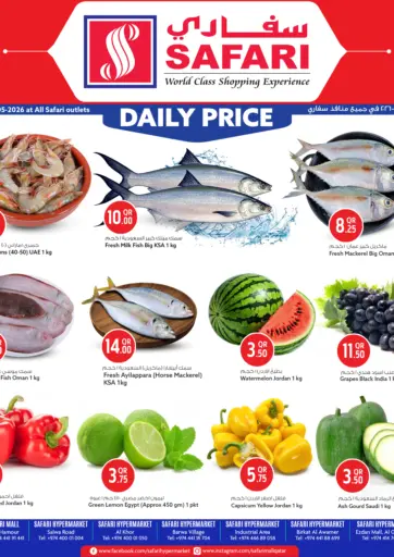 Daily Price