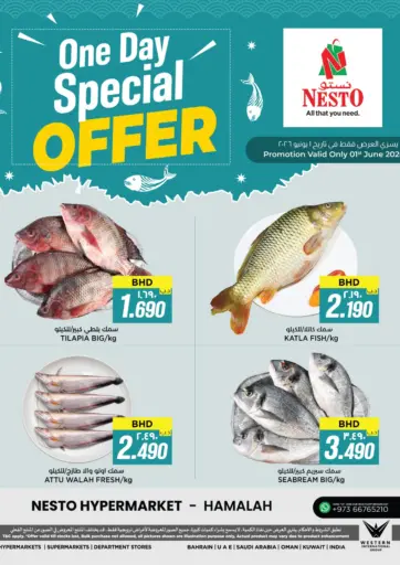 One Day Special Offer - Hamalah