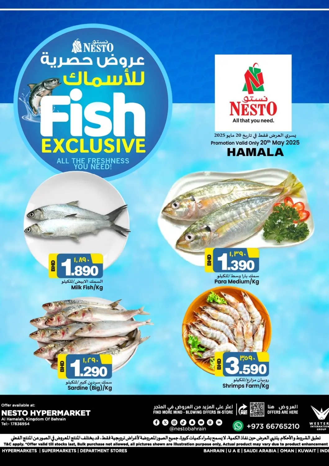 Bahrain NESTO  offers in D4D Online. Fish Exclusive. . Only On 20th May
