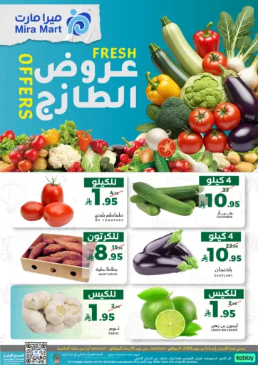 Fresh Offers