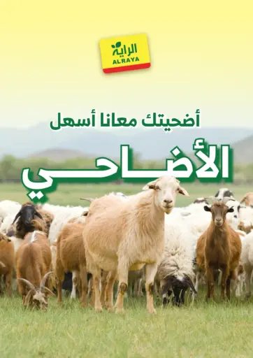 Adahi Offers