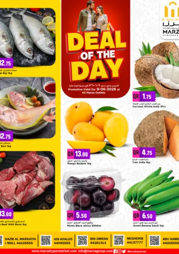 Deal Of The Day