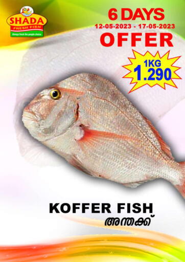 Bahrain Shada Fish offers in D4D Online. 6 Days Offer. . Till 17th May