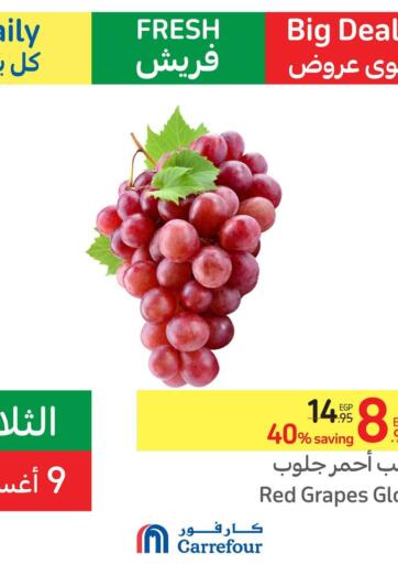 Egypt - Cairo Carrefour  offers in D4D Online. Daily Fresh. . Only On 09th August