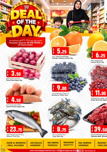 Deal Of The Day