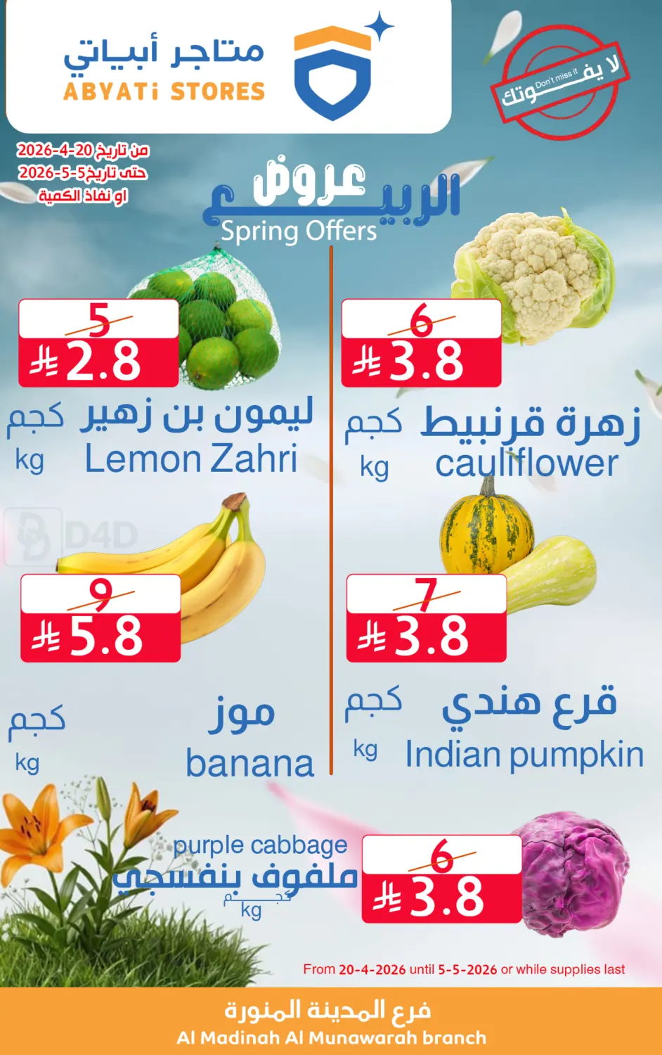 عروض الربيع in المدينة المنورة