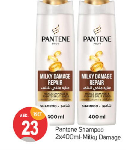 PANTENE شامبو / بلسم  in سوق طلال in الإمارات العربية المتحدة , الامارات - دبي