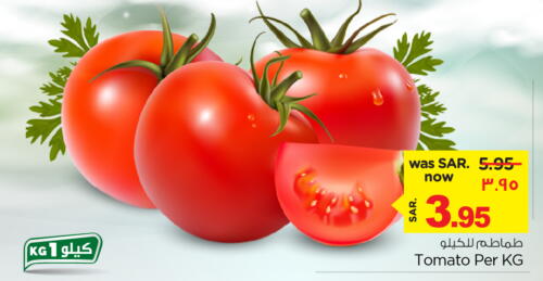  Tomato  in Nesto in KSA, Saudi Arabia, Saudi - Al Khobar