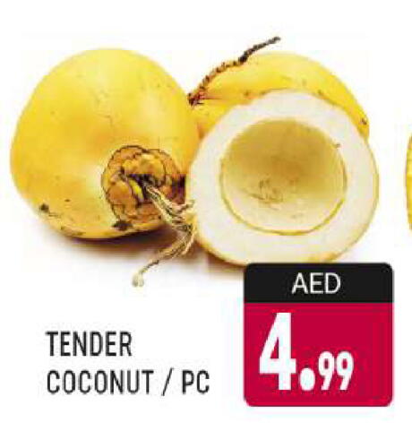 Coconut available at AL MADINA (Dubai) in UAE - Dubai