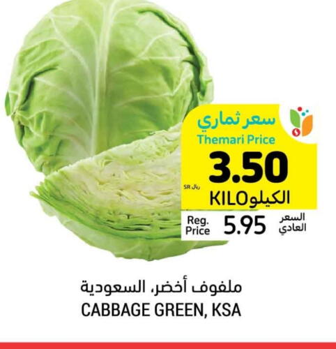 Cabbage available at Tamimi Market in KSA, Saudi Arabia, Saudi - Al Khobar