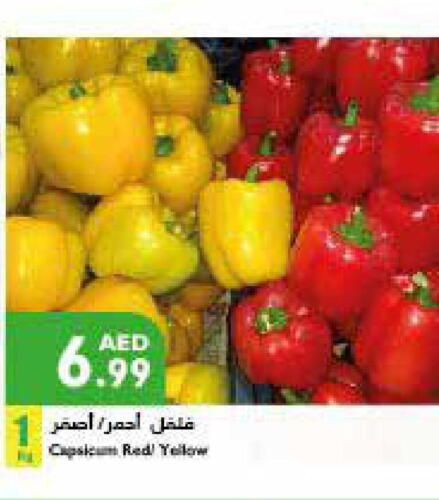  Chilli / Capsicum  in Istanbul Supermarket in UAE - Al Ain