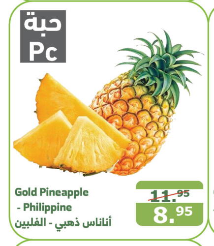  Pineapple  in Al Raya in KSA, Saudi Arabia, Saudi - Al Bahah