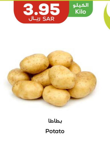  Potato  in أسواق أسترا in مملكة العربية السعودية, السعودية, سعودية - تبوك