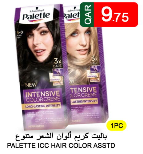 PALETTE Hair Colour  in قصر الأغذية هايبرماركت in قطر - أم صلال