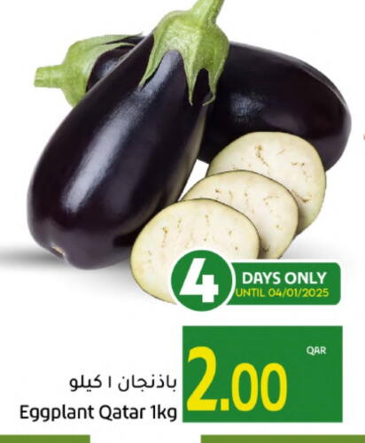 Eggplant from Qatar available at جلف فود سنتر in قطر - الوكرة