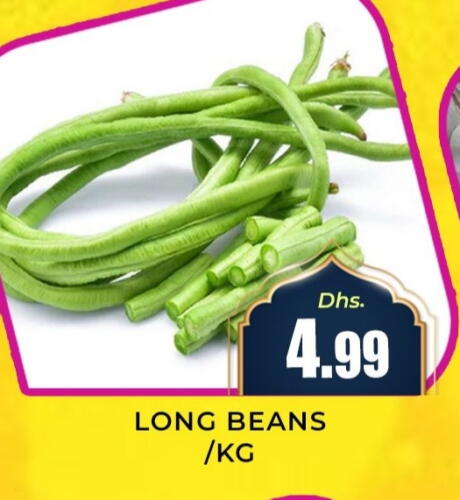 Beans available at Meena Al Madina Hypermarket  in UAE - Sharjah / Ajman