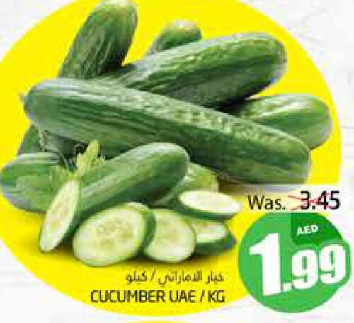  Cucumber  in مجموعة باسونس in الإمارات العربية المتحدة , الامارات - ٱلْعَيْن‎