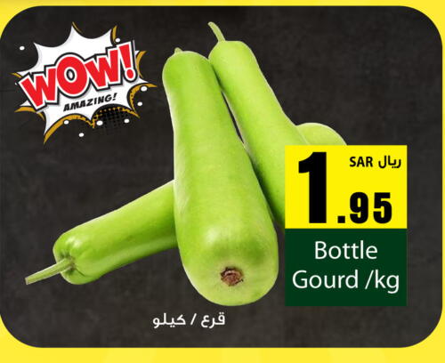  Gourd  in We One Shopping Center in KSA, Saudi Arabia, Saudi - Dammam