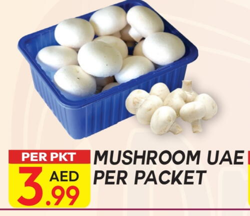 Mushroom available at Dream Land in UAE - Dubai