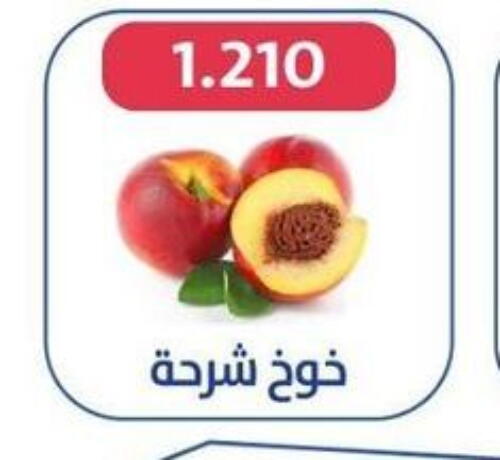  Peach  in Al Jahra Cooperative Society in Kuwait - Jahra Governorate