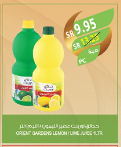 Lemon available at Farm  in KSA, Saudi Arabia, Saudi - Riyadh