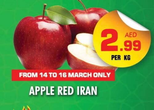 Apples from Iran available at NIGHT TO NIGHT DEPARTMENT STORE in UAE - Sharjah / Ajman