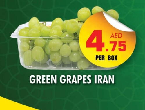 Grapes from Iran available at NIGHT TO NIGHT DEPARTMENT STORE in UAE - Sharjah / Ajman