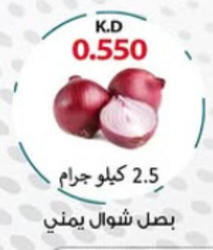 Onion available at Sabah Al-Nasser Cooperative Society in Kuwait - Kuwait City