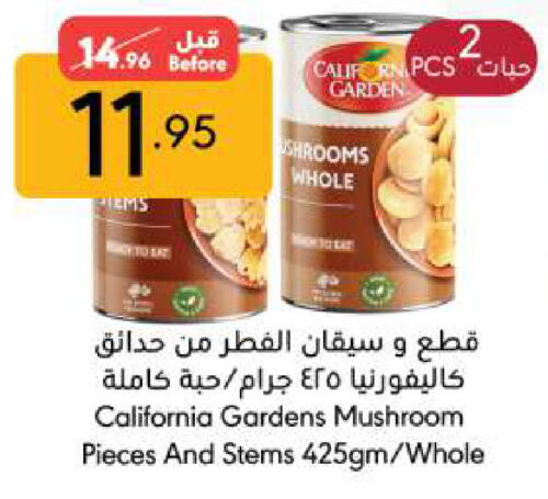 CALIFORNIA GARDEN available at Manuel Market in KSA, Saudi Arabia, Saudi - Riyadh