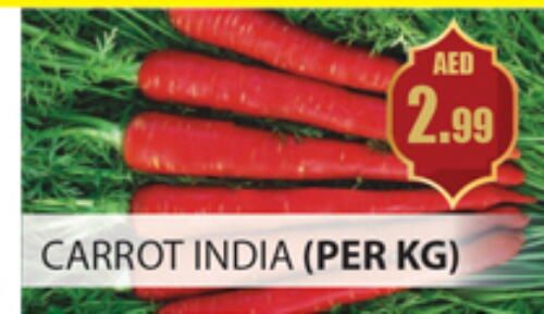 Carrot from India available at Gulf Hypermarket LLC in UAE - Ras al Khaimah