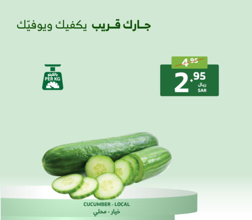  Cucumber  in Al Raya in KSA, Saudi Arabia, Saudi - Jeddah