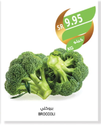 Broccoli available at Farm  in KSA, Saudi Arabia, Saudi - Jeddah